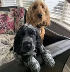 Norma Donnell - Facebook