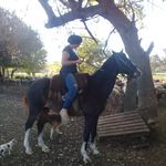 Norma Donofrio - @norma.donofrio.12 - Instagram