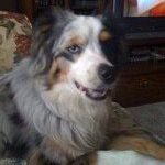 Norma Dooley - @nedooley - Instagram