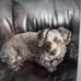 Norma Dowling - Facebook