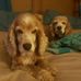 Norma Downing - Facebook