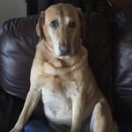 Charlotte Norma Jean Doyle - @charlottesweb2007 - Instagram