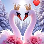 Norma Duarte - Facebook