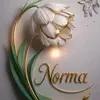 Norma Duarte - @norma.duarte04 - TikTok