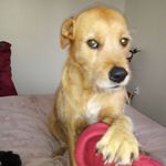 Norma Jean Dudley - @milliekapua - Instagram