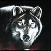 normanddudley289 - @normanddudley289 - TikTok