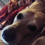 Norma Duff - @harleyrduff - Instagram