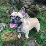Norma Duffy - @normaduffy71 - Instagram