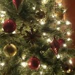 Norma Kish Dunham - @njd43hotmailcom - Instagram