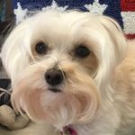 Norma Dunn - @norma_killpatrick - Instagram