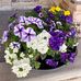 Norma Dwyer - Facebook