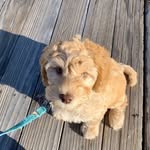 Norman_earl - @norman.4890 - Instagram