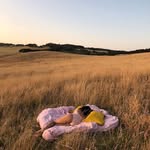 @norma_e_lamadrid - Instagram