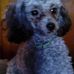 Norma Everhart - Facebook