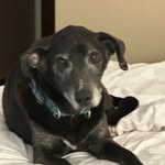 Norma Everhart - @mabear2215 - Instagram