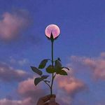Norma Farfan - @norma.farfan.9216 - Instagram