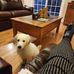 Norma Farmer - Facebook