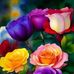 Norma Esther Ferro - Facebook