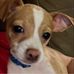 Norma Floyd - Facebook