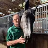 Norman - @normanfrench4 - TikTok
