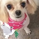 Norma De Galaviz - @normadegalaviz - Instagram