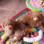 Norma Gamboa - @norma.gamboa.5076 - Instagram