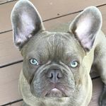 Norman - @norman_gaston_ - Instagram