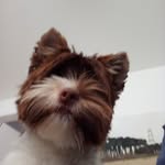 Norma Gibson - @normagibson200 - Instagram