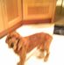 Norma Gilmore - Facebook