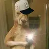 Norma Gracia - @norma.gracia05 - TikTok