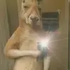 Norma Granillo - @norma.granillo - TikTok