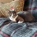 Norma Griffith - Facebook