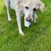 Norma Griffiths - Facebook