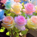 Norma Guardado - @guanorma - Instagram
