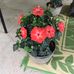 Norma Guidry - Facebook