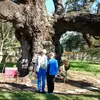Norma Guthrie247 - @normajean1111 - TikTok