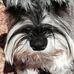 Norma Guthrie - Facebook