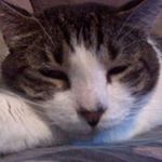 Norman A. Hamby - @normanhamby - Instagram