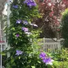 Norma Hammer - @2180460821 - TikTok