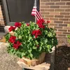 Norma Hammer - @2176001106 - TikTok