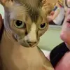 Norma Hammermeister - @normahammermeister - TikTok
