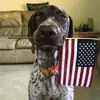 Norman Harding - @norman.harding - TikTok