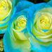 Norma Hartman - Facebook