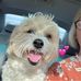 Norma Hayes - Facebook