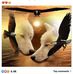 Norma Heckman - Facebook