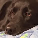 Norman Heinert - @normanheinert - Instagram