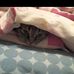 Norma Higginbotham - Facebook