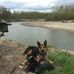 Norma Higginbotham Hill - Facebook