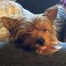 Norma Hilliard - Facebook
