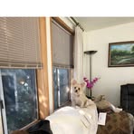 Norma Hills - Facebook
